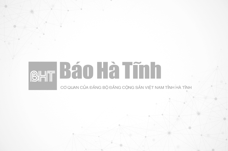 Mời thầu: Quản lý, kinh doanh, khai thác chợ Phố Châu (Hương Sơn)