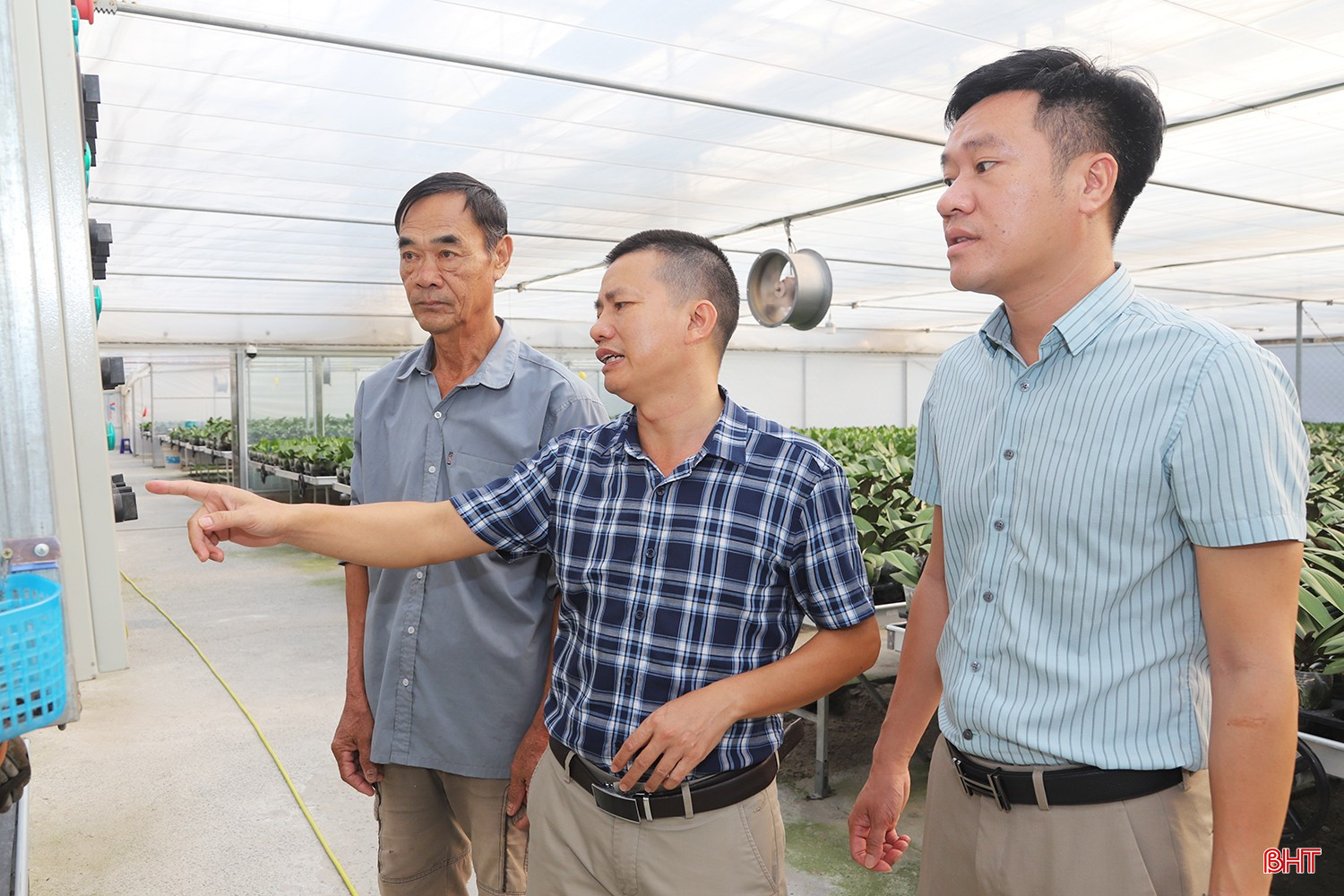 Ông Chu Văn Hoàng - Phó Trưởng phòng Kinh tế, UBND xã Thạch Khê (ngoài cùng bên phải) cho biết: "Mô hình trồng lan hồ điệp của Công ty TNHH Trí Đức Hà Tĩnh đang cho thấy hiệu quả rõ nét, nhất là khi sản phẩm có thị trường tiêu thụ cả trong và ngoài tỉnh. Đây là hướng sản xuất có tiềm năng, thời gian tới địa phương sẽ tiếp tục quan tâm, đồng hành, tạo điều kiện để doanh nghiệp duy trì và phát triển mô hình, góp phần nâng cao hiệu quả sản xuất trên địa bàn".