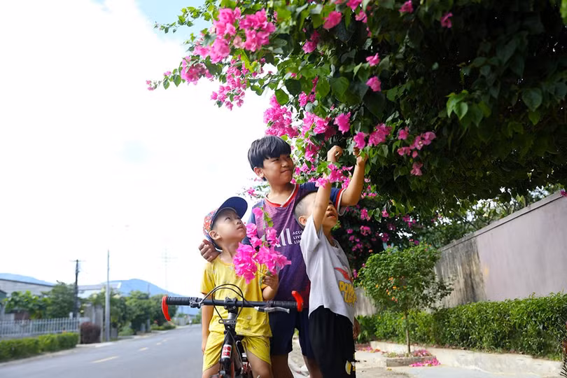 kỳ hoa 11.jpeg