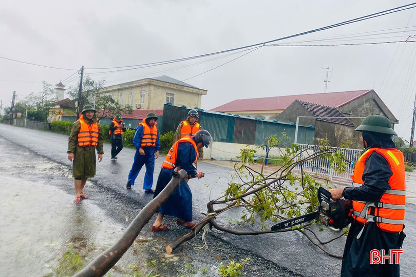 Các lực lượng hỗ trợ người dân phường Hải Ninh cắt tỉa cây xanh bị đổ gãy sau bão.