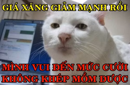 anh che gia xang giam 76 dong lit
