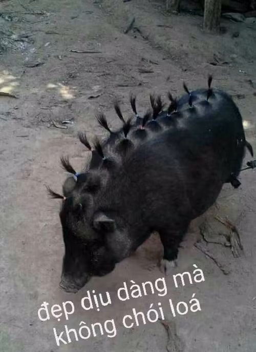 10 anh hai hot nhat facebook trong ngay