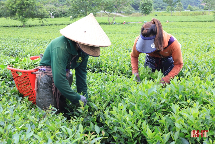 Hương Sơn đón Bằng công nhận huyện đạt chuẩn NTM và Cờ thi đua của Chính phủ