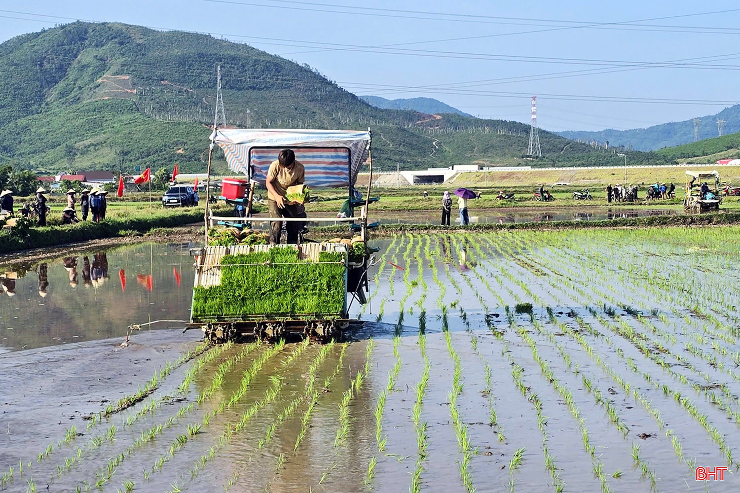Người dân phấn khởi tham quan mô hình cấy lúa bằng máy trên cánh đồng thâm canh lúa cải tiến (SRI).