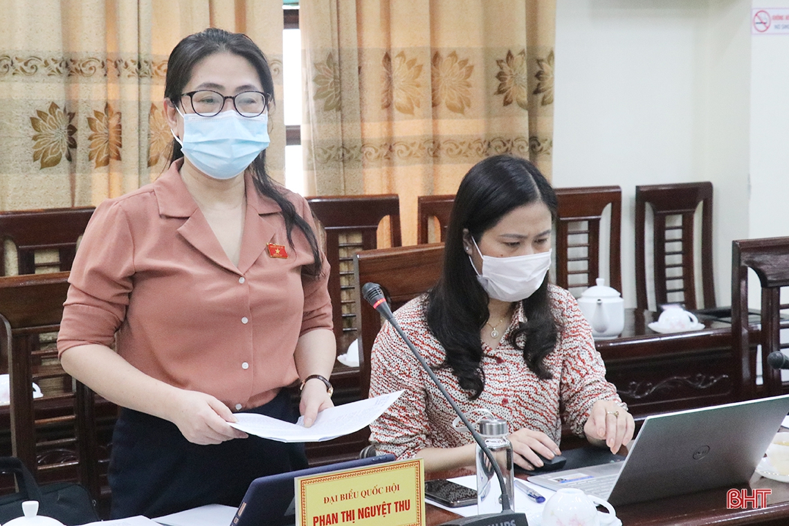 Đại biểu Quốc hội Hà Tĩnh thảo luận tổ về tình hình KT-XH gắn với phòng chống dịch COVID-19
