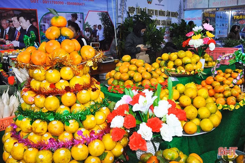 Mê mẩn những hàng cam chín mọng tại hội chợ nông sản lớn nhất Hà Tĩnh