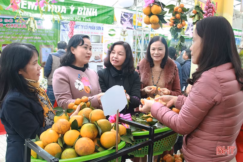 Mê mẩn những hàng cam chín mọng tại hội chợ nông sản lớn nhất Hà Tĩnh
