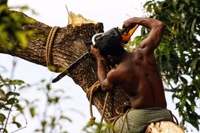 Ngắm ảnh du lịch tuyệt đẹp đoạt giải của National Geographic