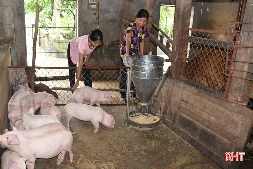 Nguồn tín dụng ưu đãi đang là cứu cánh trong làm ăn của nhiều hộ nghèo, cận nghèo ở Lộc Hà .JPG