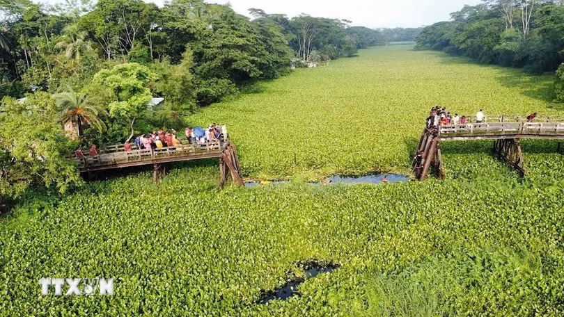 Hiện trường vụ sập cầu tại huyện Barguna, Bangladesh, ngày 22/6. (Ảnh: New Age/ TTXVN)