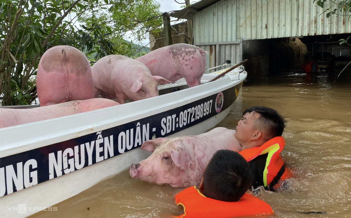 Người dân Nghệ An thiệt hại vì mưa lũ