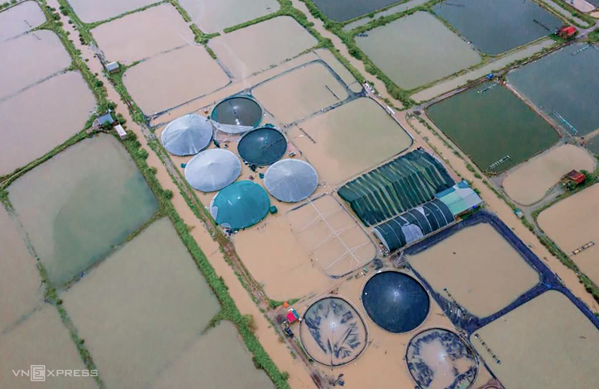Người dân Nghệ An thiệt hại vì mưa lũ