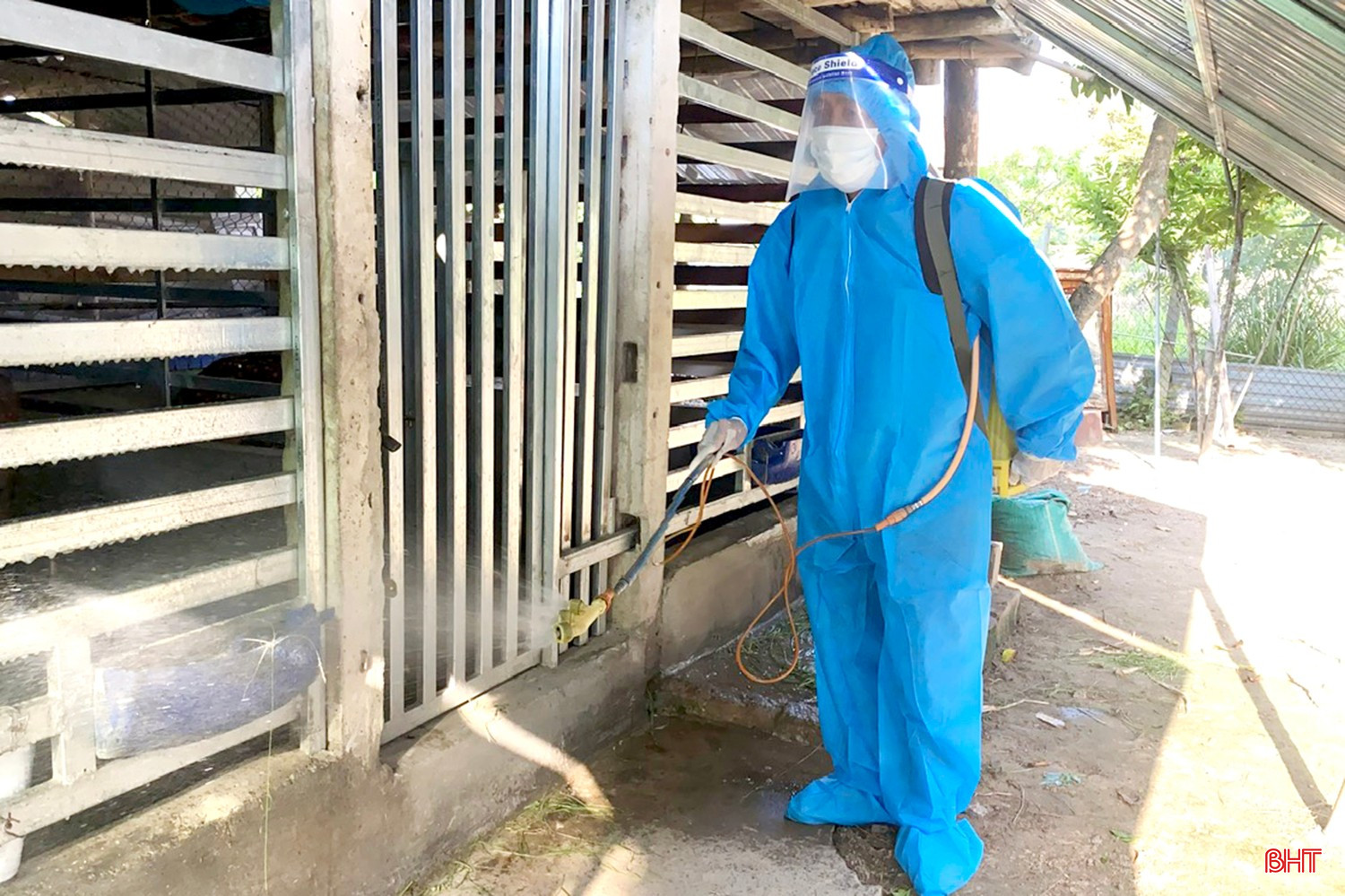 UBND phường Trần Phú đã tổ chức phun tiêu độc khử trùng tại chuồng trại của các hộ.