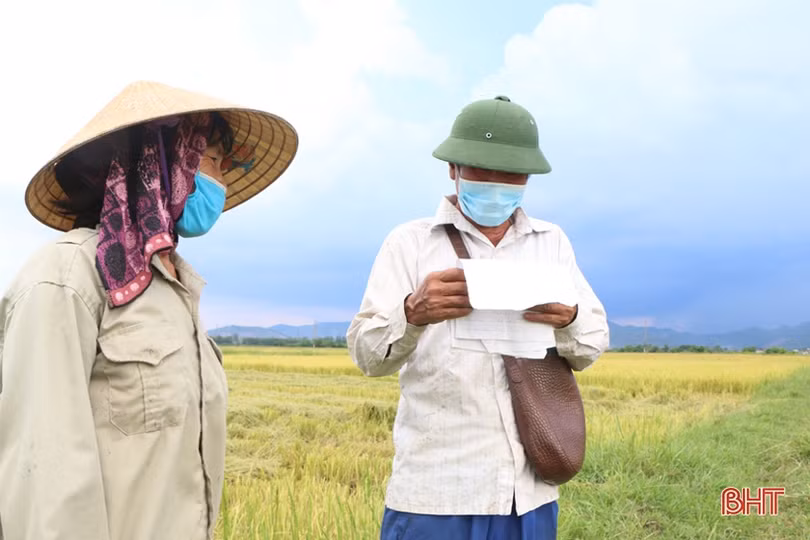Điều tiết máy gặt hợp lý, chuẩn bị cho cao điểm thu hoạch lúa hè thu ở Hà Tĩnh