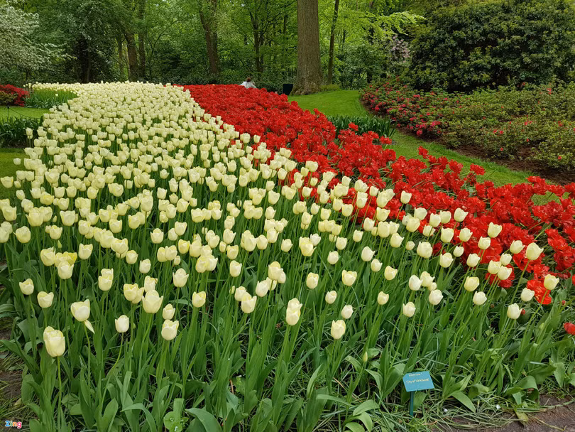 Nơi được mệnh danh “Khu vườn của châu Âu”