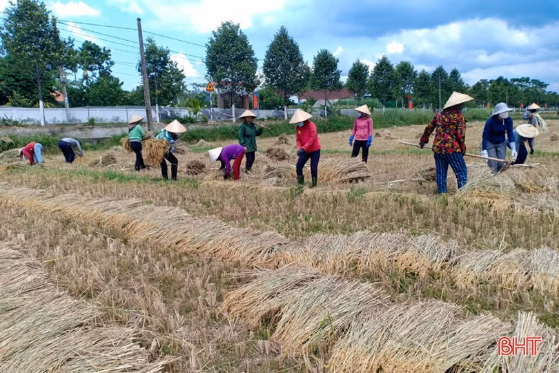 Phụ nữ Hà Tĩnh bền bỉ thực hiện “mục tiêu kép”