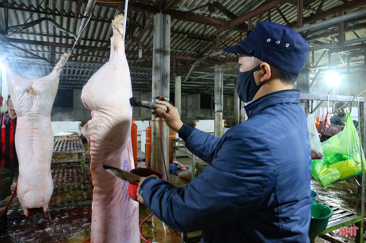 Dịch bệnh trên gia súc và “lá chắn” trong chăn nuôi (bài 2): Vì đâu dịch bệnh bùng phát và khó kiểm soát?
