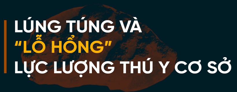 Dịch bệnh trên gia súc và “lá chắn” trong chăn nuôi (bài 2): Vì đâu dịch bệnh bùng phát và khó kiểm soát?