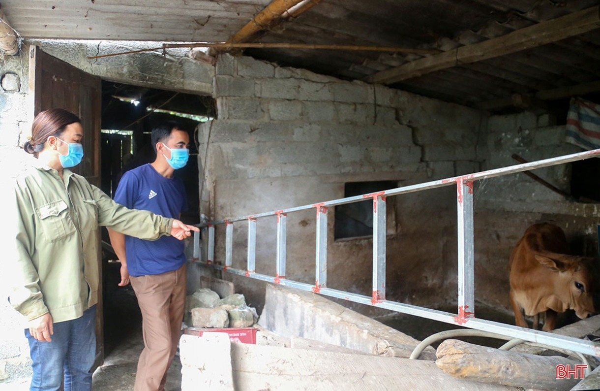 Dịch bệnh trên gia súc và “lá chắn” trong chăn nuôi (bài 2): Vì đâu dịch bệnh bùng phát và khó kiểm soát?