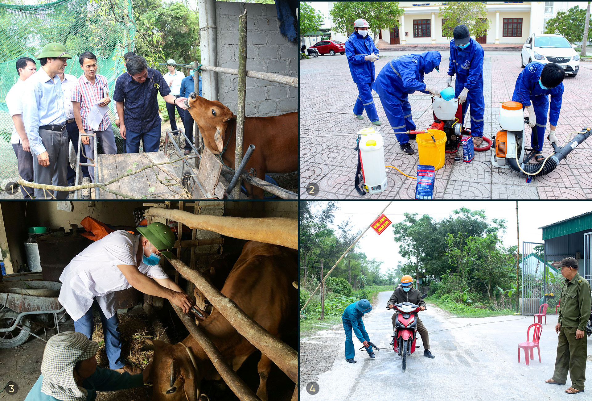 Dịch bệnh trên gia súc và “lá chắn” trong chăn nuôi (bài 2): Vì đâu dịch bệnh bùng phát và khó kiểm soát?