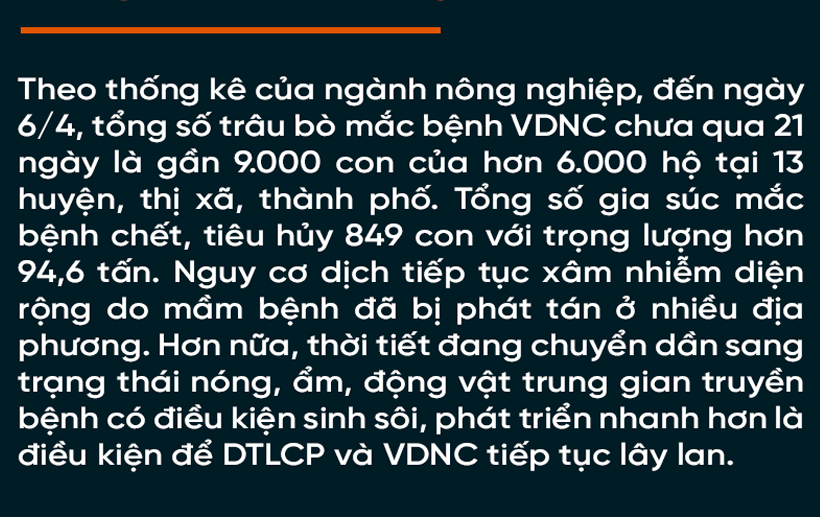 Dịch bệnh trên gia súc và “lá chắn” trong chăn nuôi (bài 1): Lao đao giữa dịch bệnh “kép”!