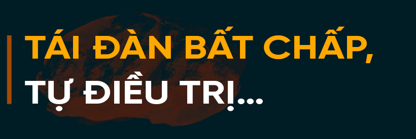 Dịch bệnh trên gia súc và “lá chắn” trong chăn nuôi (bài 2): Vì đâu dịch bệnh bùng phát và khó kiểm soát?