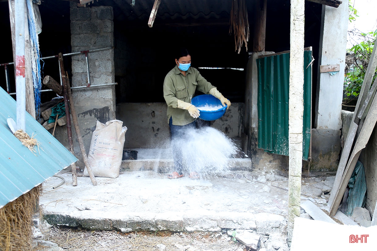 Dịch bệnh trên gia súc và “lá chắn” trong chăn nuôi (bài 2): Vì đâu dịch bệnh bùng phát và khó kiểm soát?