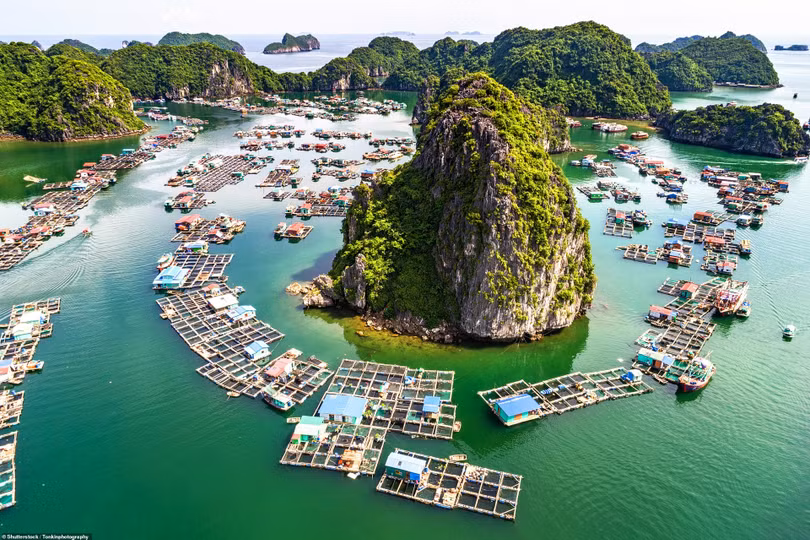 Vẻ đẹp đất và người Việt Nam trên báo Anh