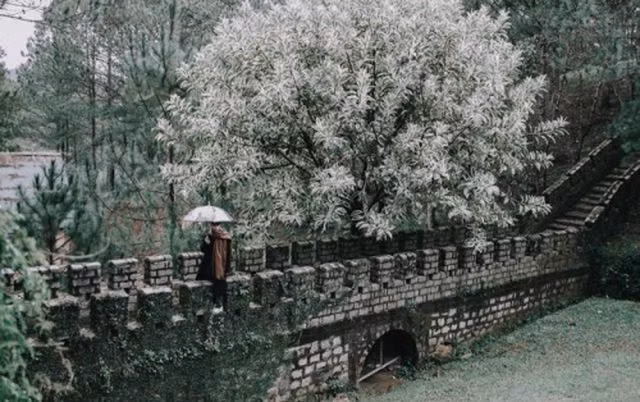 Ngỡ ngàng với 4 địa danh “Vạn lý trường thành” đẹp mê hồn ở Việt Nam