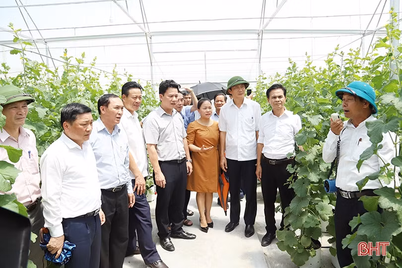 Đoàn cán bộ Hà Giang trao đổi kinh nghiệm khai thác du lịch, xây dựng NTM tại Hà Tĩnh