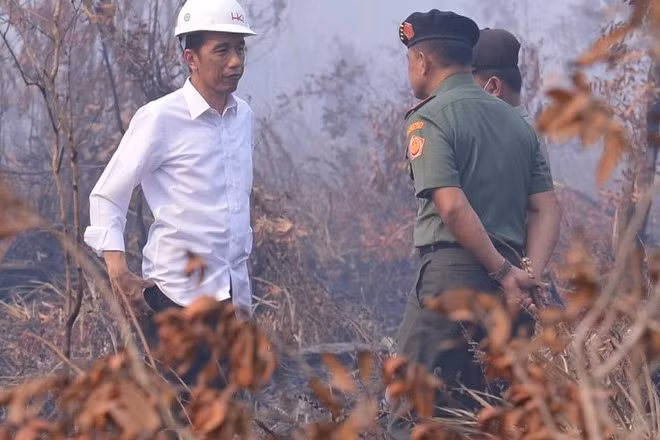 “Tổng thống Indonesia phải khắc phục hậu quả thảm họa cháy rừng”