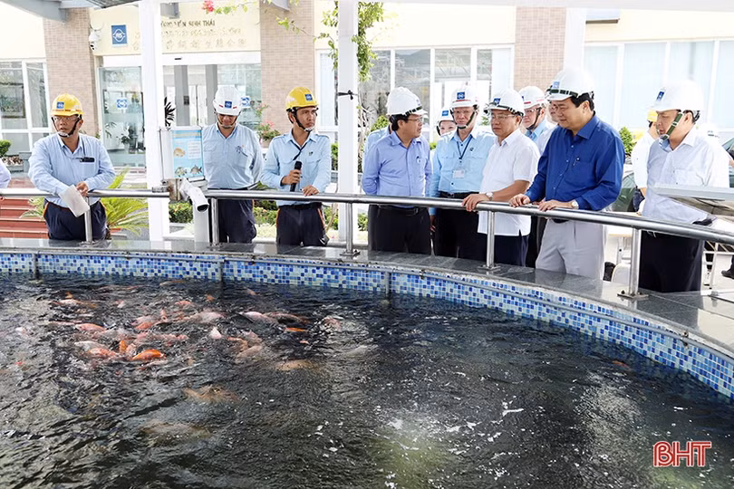 Đoàn cán bộ tỉnh Long An ấn tượng với quy mô, công nghệ hiện đại của dự án Formosa Hà Tĩnh