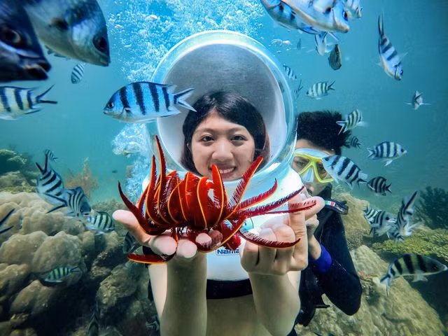 5 điểm ngắm san hô đẹp nhất Việt Nam, phải khám phá một lần trong đời