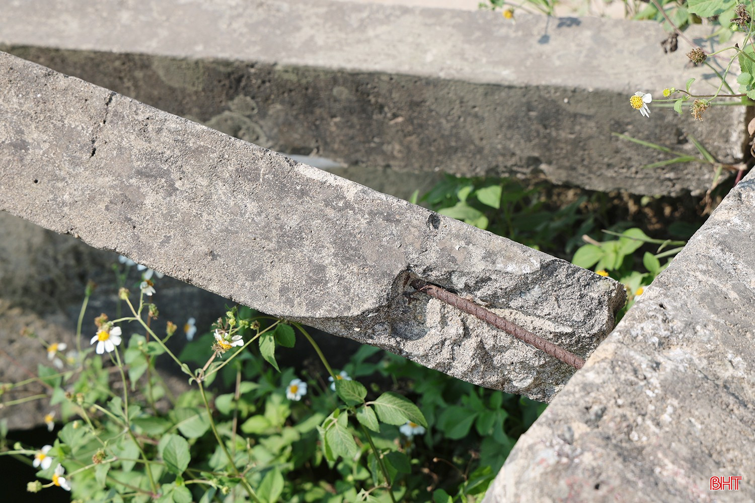 bqbht_br_0907.jpg