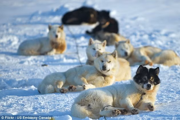 noi lanh leo nhat the gioi co the dong bang ca giac mac