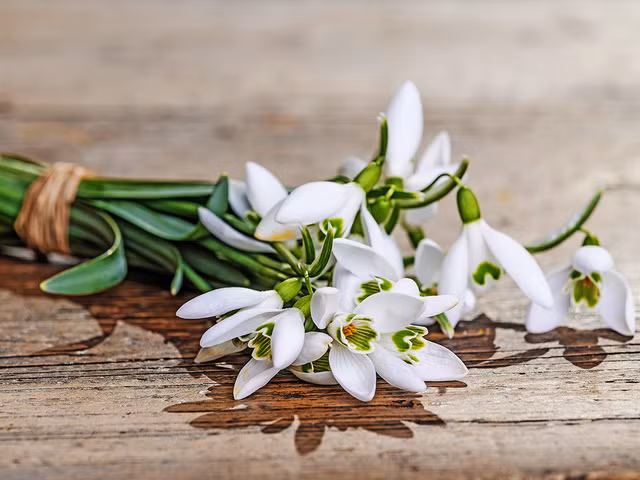 the gioi don ngay le tinh nhan valentine nhu the nao