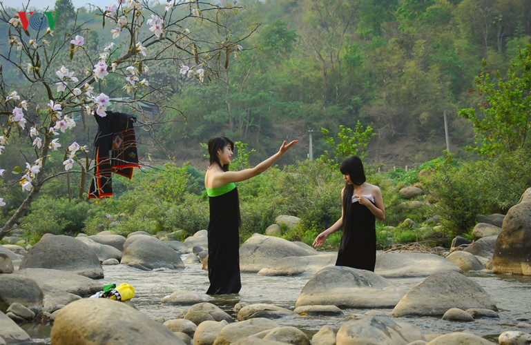 hoa ban no trang tinh khoi giua nui rung tay bac