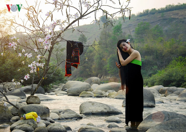 hoa ban no trang tinh khoi giua nui rung tay bac