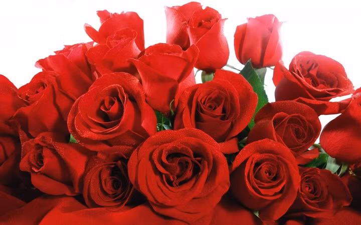 nhung dieu thu vi ve ngay valentine