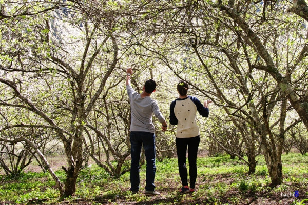 le valentine mien bac hung nang mien nam mua dem