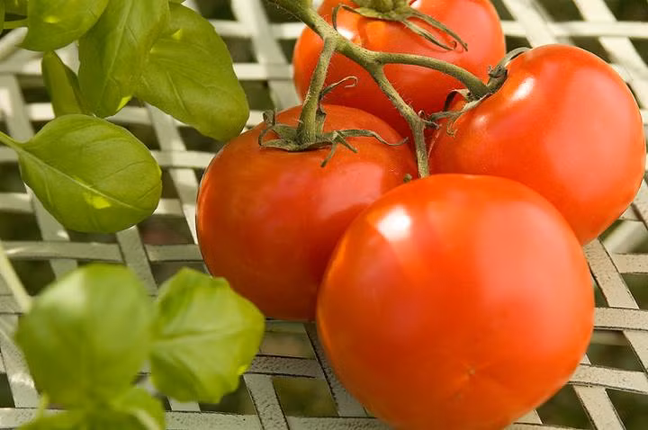 5 cach giup co the toa huong thom quyen ru