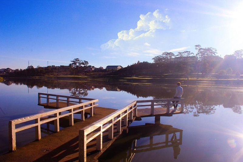 Những góc "sống ảo" tuyệt đẹp ở Đà Lạt ảnh 12 nhung goc song ao tuyet dep o da lat