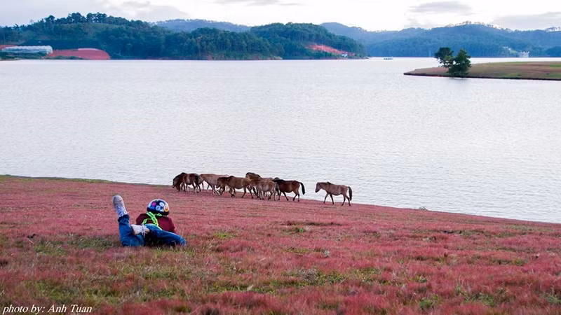 nhung goc song ao tuyet dep o da lat
