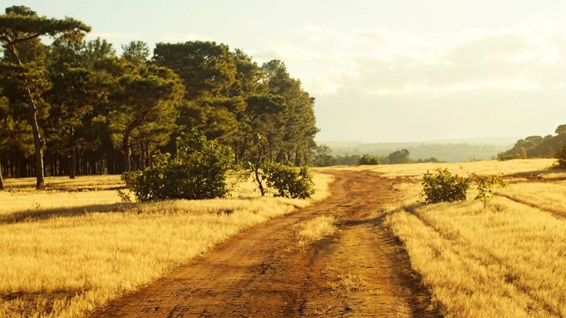 doi mat pleiku dep quyen ru trong dip dau xuan