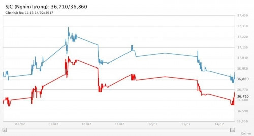 nguoi mua vang truoc ngay via than tai dang lo hon 1 trieu luong