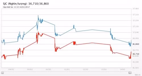 nguoi mua vang truoc ngay via than tai dang lo hon 1 trieu luong