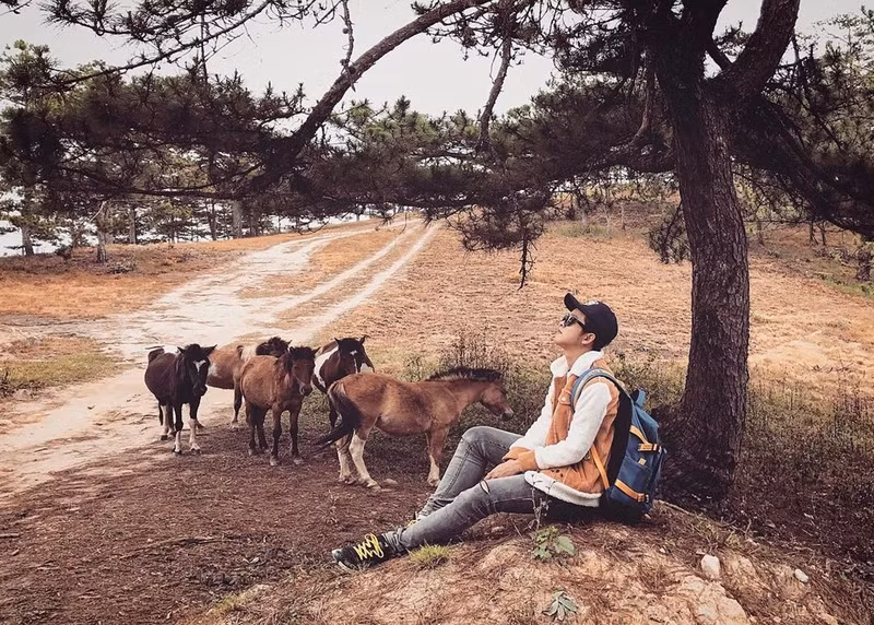 nhung goc song ao tuyet dep o da lat