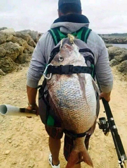 10 anh hai hot nhat facebook trong ngay