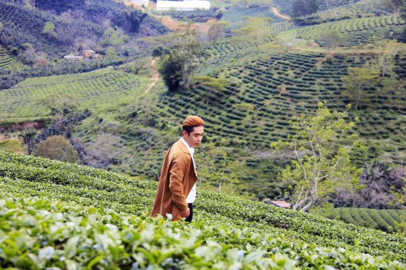 Những góc "sống ảo" tuyệt đẹp ở Đà Lạt ảnh 13 nhung goc song ao tuyet dep o da lat