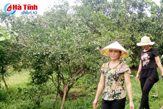 ban linh phu nu vung son cuoc